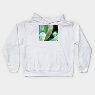 Squat Cleaner Shrimp and Giant Sea Anemone Kids Hoodie